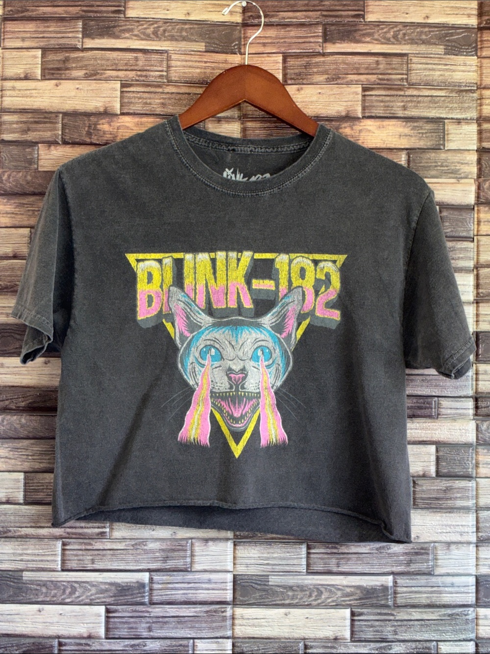 EUC Blink 182 Small/Medium Cropped Gray Band Tee